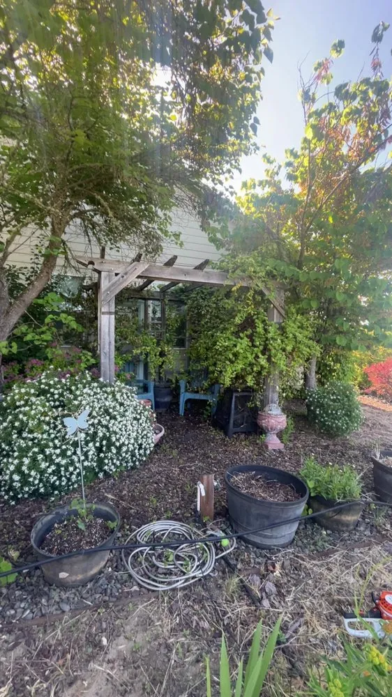 Trusted yard cleanup service for homes across Roseburg, OR - L&Ms Landscaping