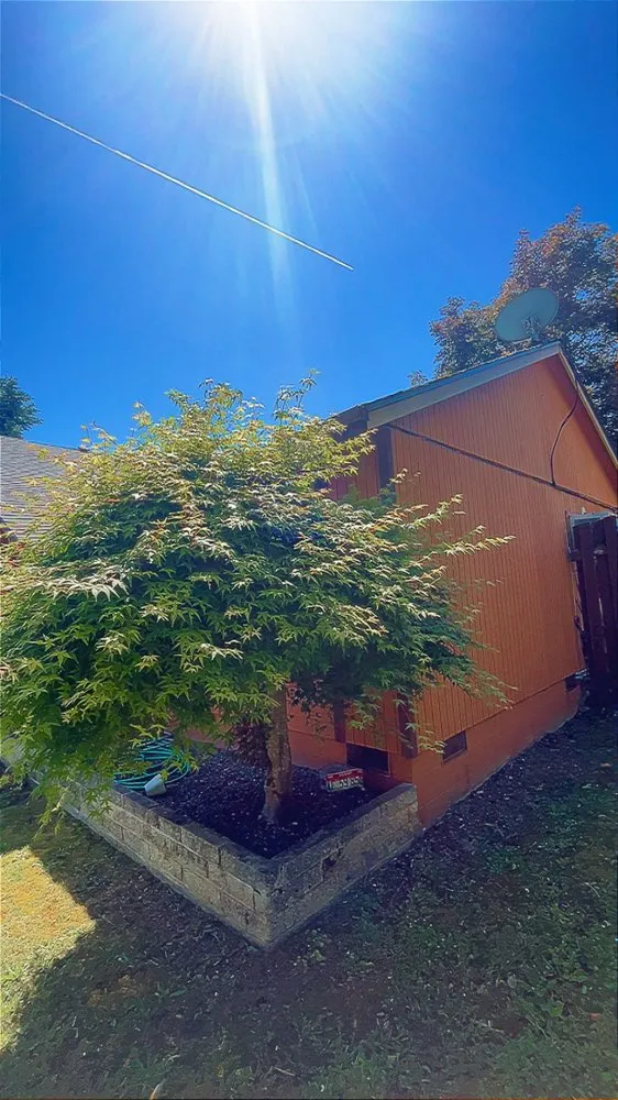 Top-rated yard cleanup service experts serving Roseburg, OR - L&Ms Landscaping