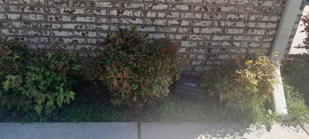 Expert outdoor landscaping for homes in Decatur, AL by L&Ms Lawn Care & Detail Services