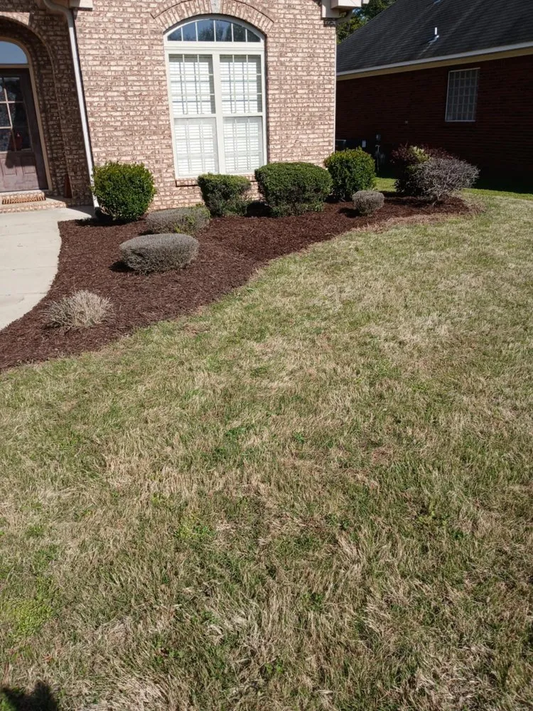 Affordable lawn mowing service for outdoor upgrades in Decatur, AL by L&Ms Lawn Care & Detail Services