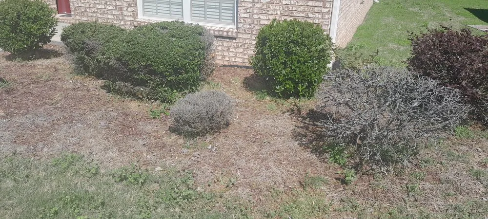 Expert outdoor landscaping experts serving Decatur, AL - L&Ms Lawn Care & Detail Services