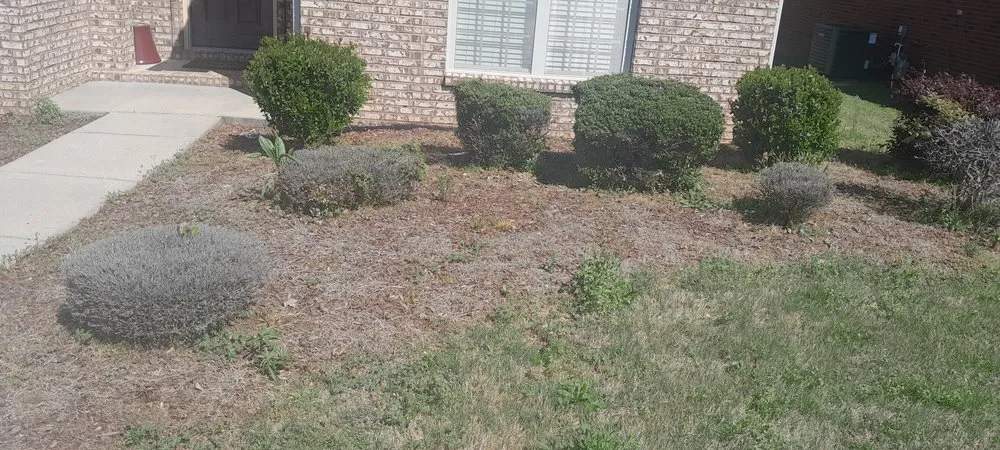 Reliable garden landscaping experts serving Decatur, AL - L&Ms Lawn Care & Detail Services