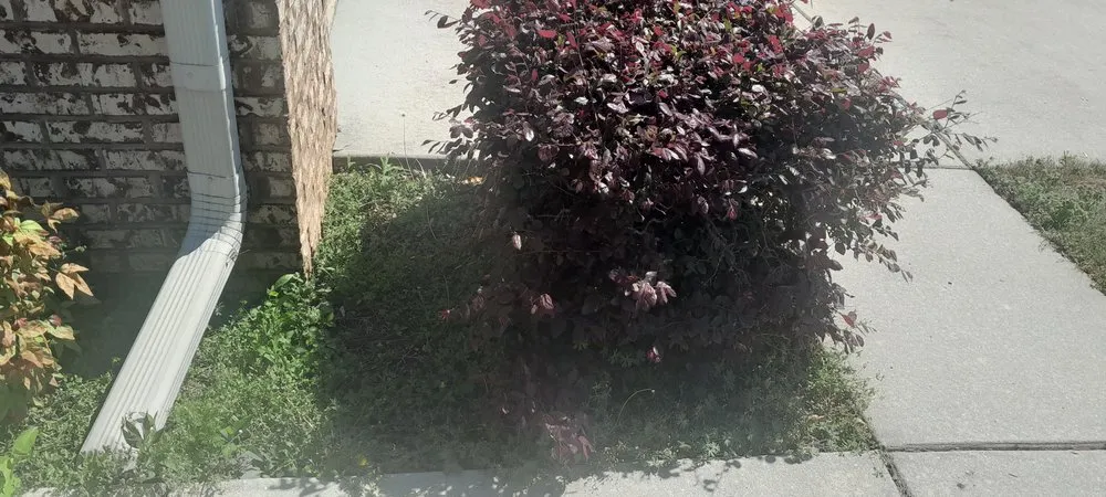 Expert lawn mowing service experts serving Decatur, AL - L&Ms Lawn Care & Detail Services