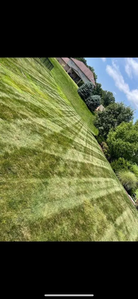 Expert yard cleanup service for beautiful yards in Dunbar, PA by L.Murphy’s Lawncare