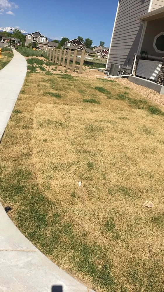 Reliable yard cleanup service for year-round maintenance across Broomfield, CO - LMX Services