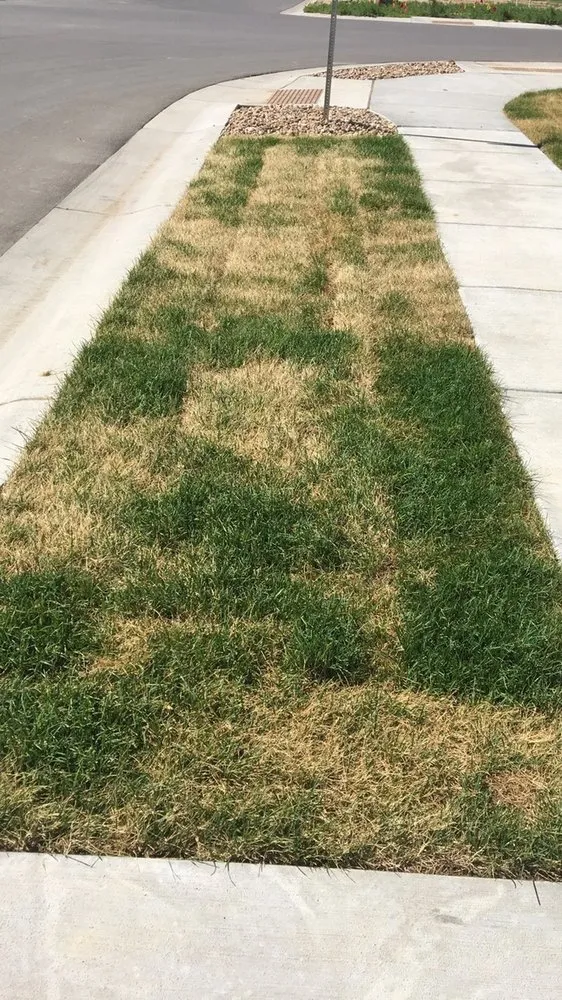 Trusted garden landscaping experts serving Broomfield, CO - LMX Services