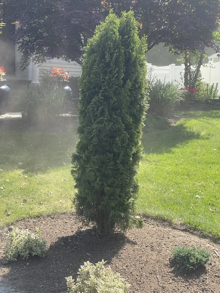 Top-rated outdoor landscaping in Huntington Station, NY by Lmy Landscaping