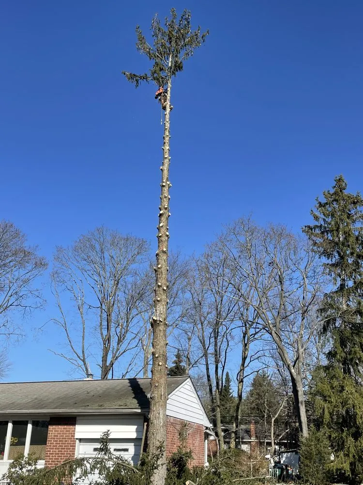 Trusted lawn care service in Huntington Station, NY - Lmy Landscaping