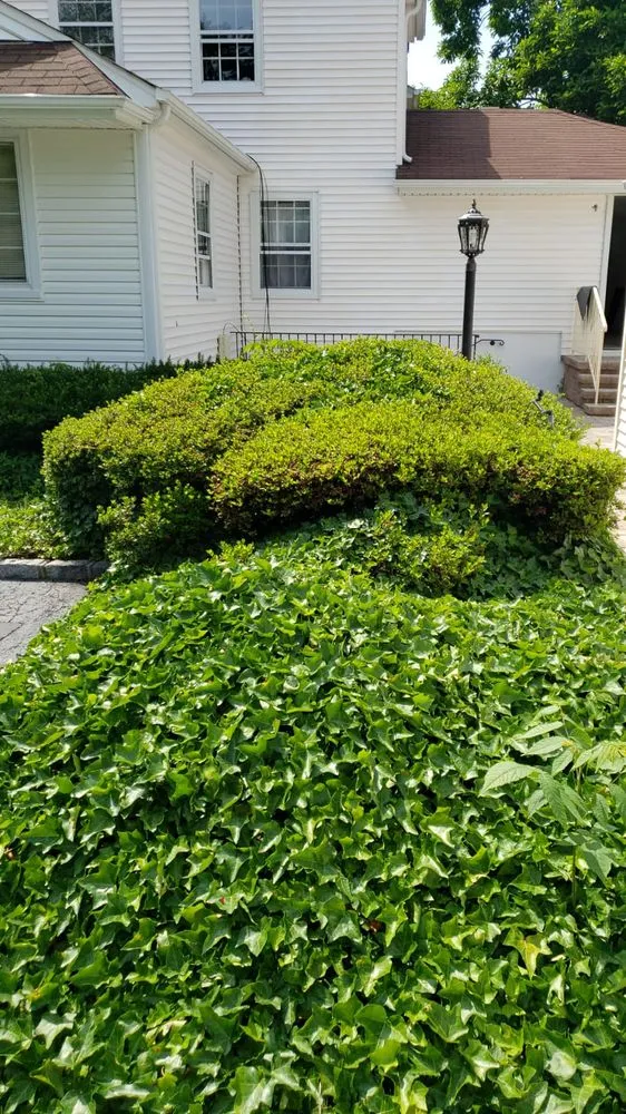 Professional lawn care service experts serving Huntington Station, NY - Lmy Landscaping