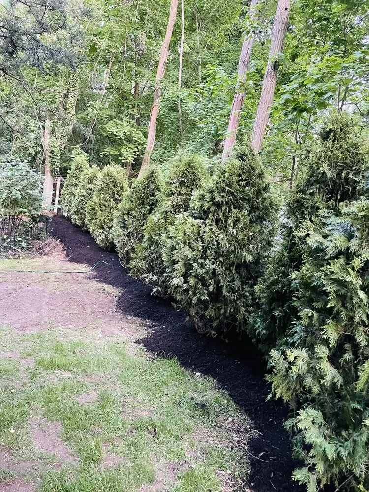 Trusted outdoor landscaping experts serving Huntington Station, NY - Lmy Landscaping