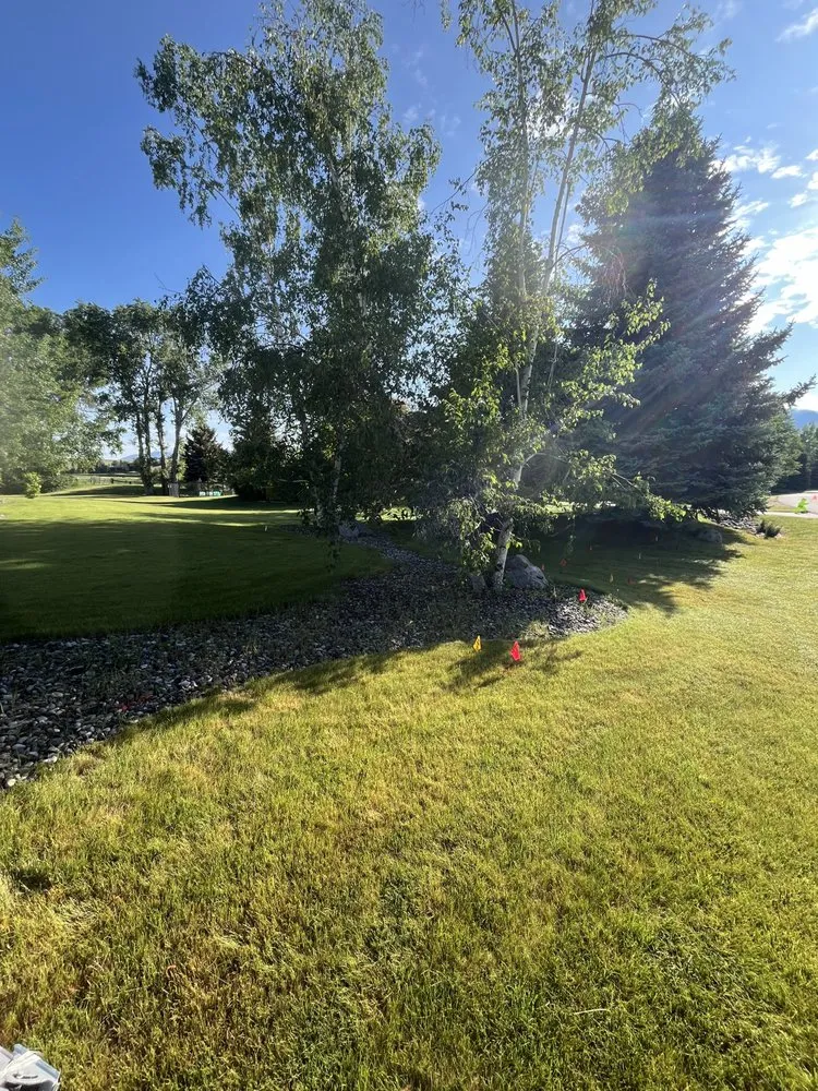 Professional lawn care service in Bozeman, MT by LMZ Excavating