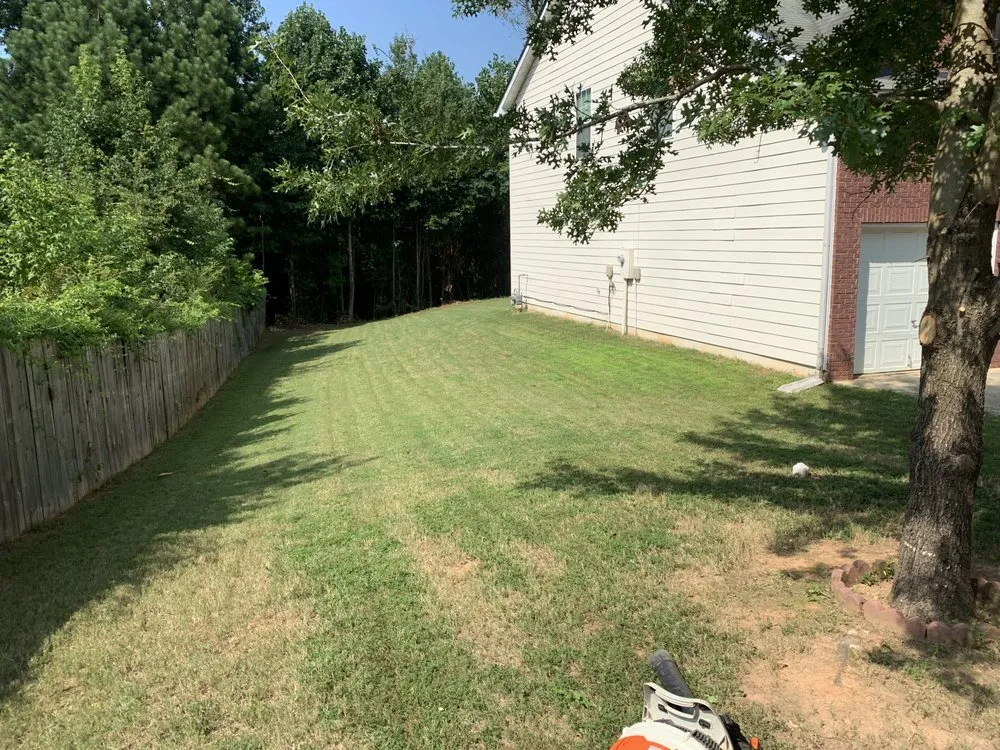 Affordable lawn care service experts serving Forest Park, GA - Lmz lawncare