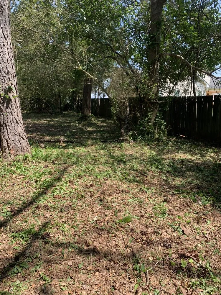 Custom outdoor landscaping experts serving Forest Park, GA - Lmz lawncare