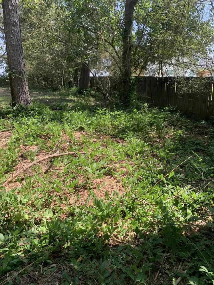 Affordable landscape installation experts serving Forest Park, GA - Lmz lawncare