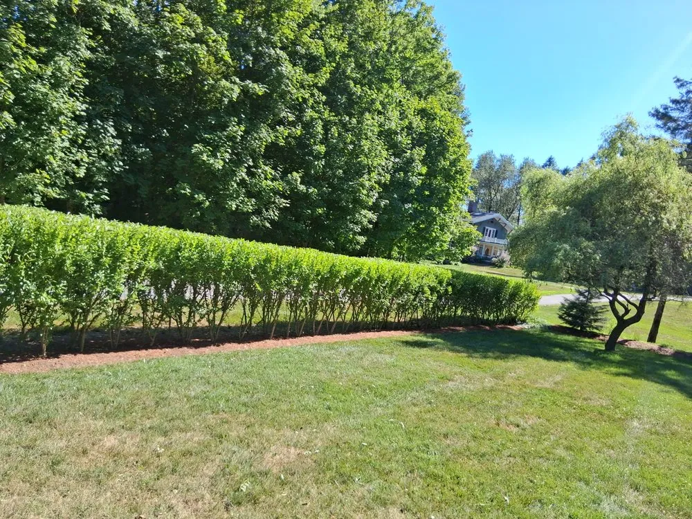 Top-rated garden landscaping experts serving Lynn, MA - LN Landscaping