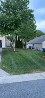 Custom yard maintenance in Advance, NC - L&N Lawn Care