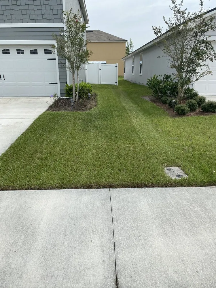 Reliable lawn mowing service for year-round maintenance in Jacksonville, FL by L&N Lawns