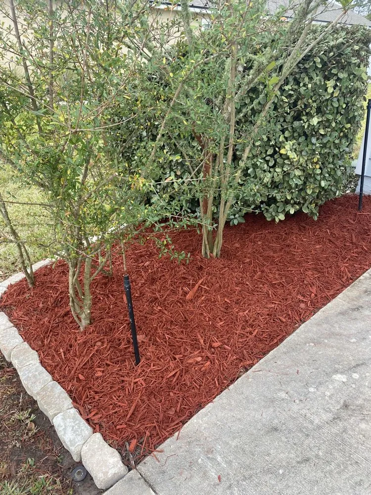 Expert landscape design experts serving Jacksonville, FL - L&N Lawns