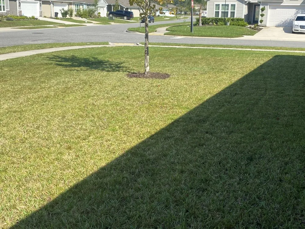 Expert landscape design for residential properties in Jacksonville, FL by L&N Lawns