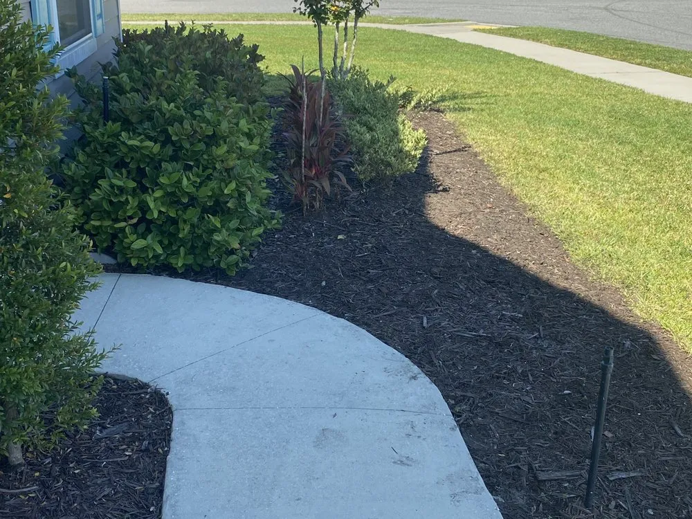 Local outdoor landscaping in Jacksonville, FL - L&N Lawns