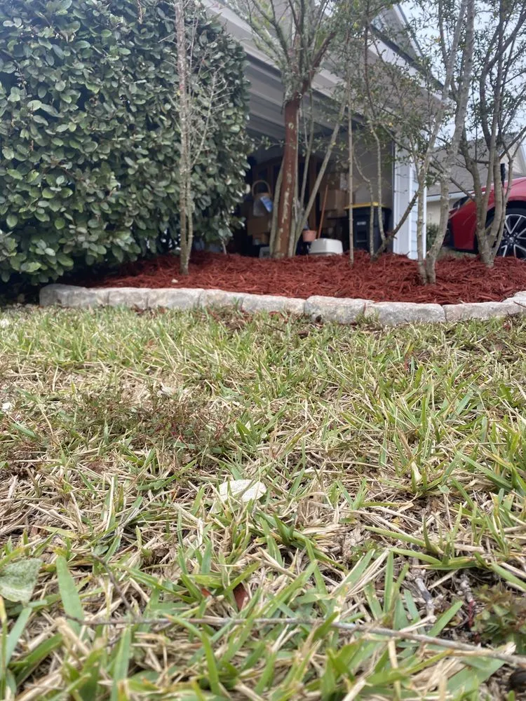 Affordable lawn care service experts serving Jacksonville, FL - L&N Lawns