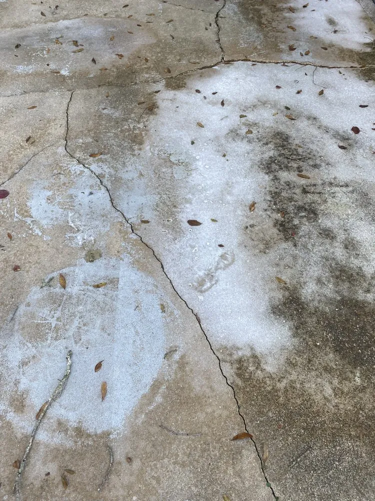 Expert yard maintenance in Jacksonville, FL - L&N Lawns