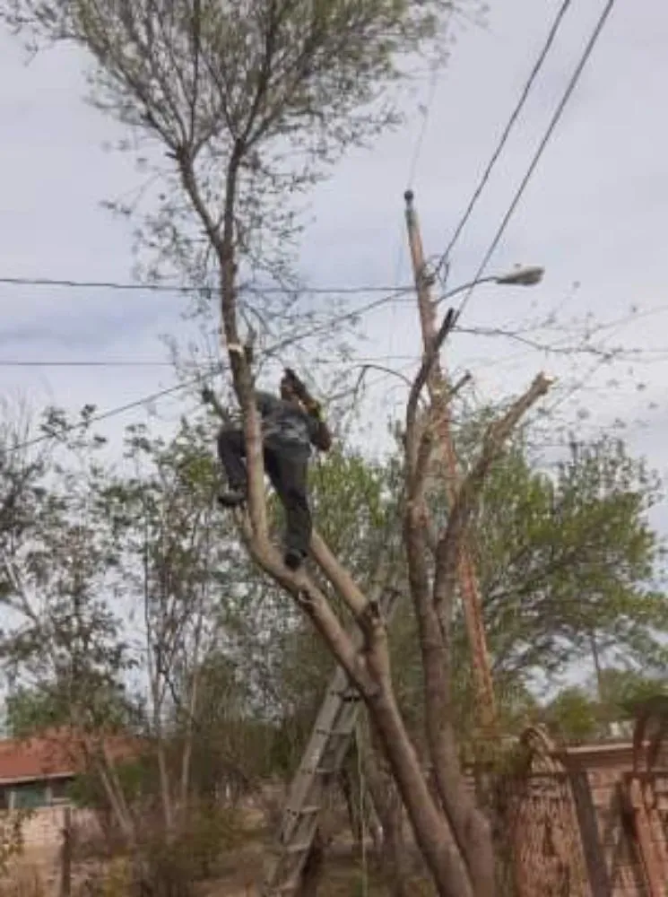 Top-rated landscape installation in Eagle Pass, TX - LNB Landscaping