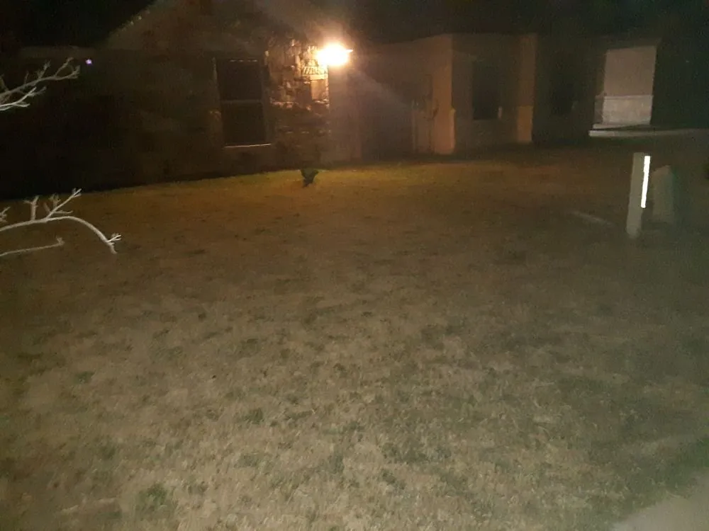 Affordable landscape installation with custom design in Eagle Pass, TX by LNB Landscaping