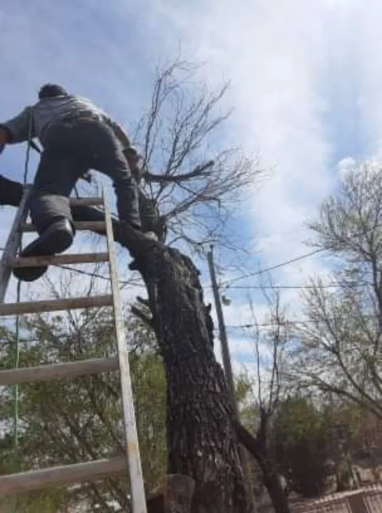 Local garden landscaping for homes across Eagle Pass, TX - LNB Landscaping