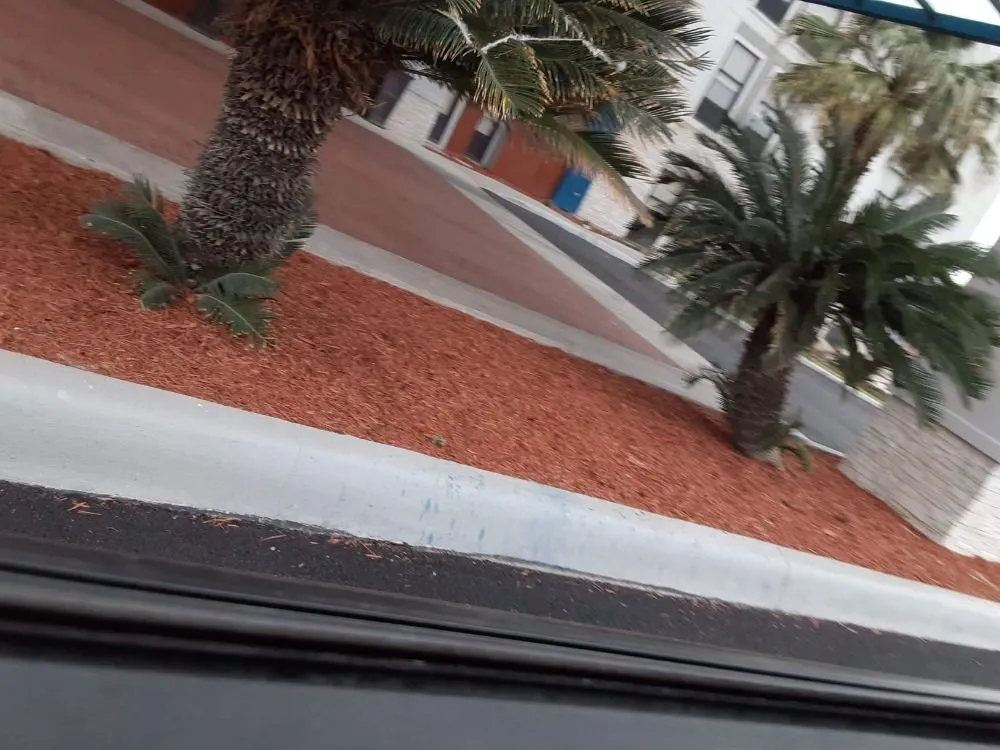 Trusted landscaping services in Eagle Pass, TX by LNB Landscaping