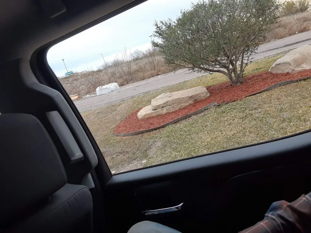 Professional lawn care service in Eagle Pass, TX - LNB Landscaping