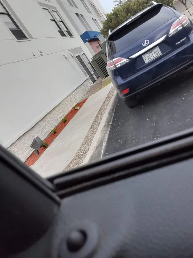 Trusted landscaping services for year-round maintenance in Eagle Pass, TX by LNB Landscaping