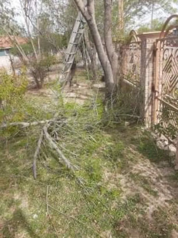 Trusted yard cleanup service experts serving Eagle Pass, TX - LNB Landscaping