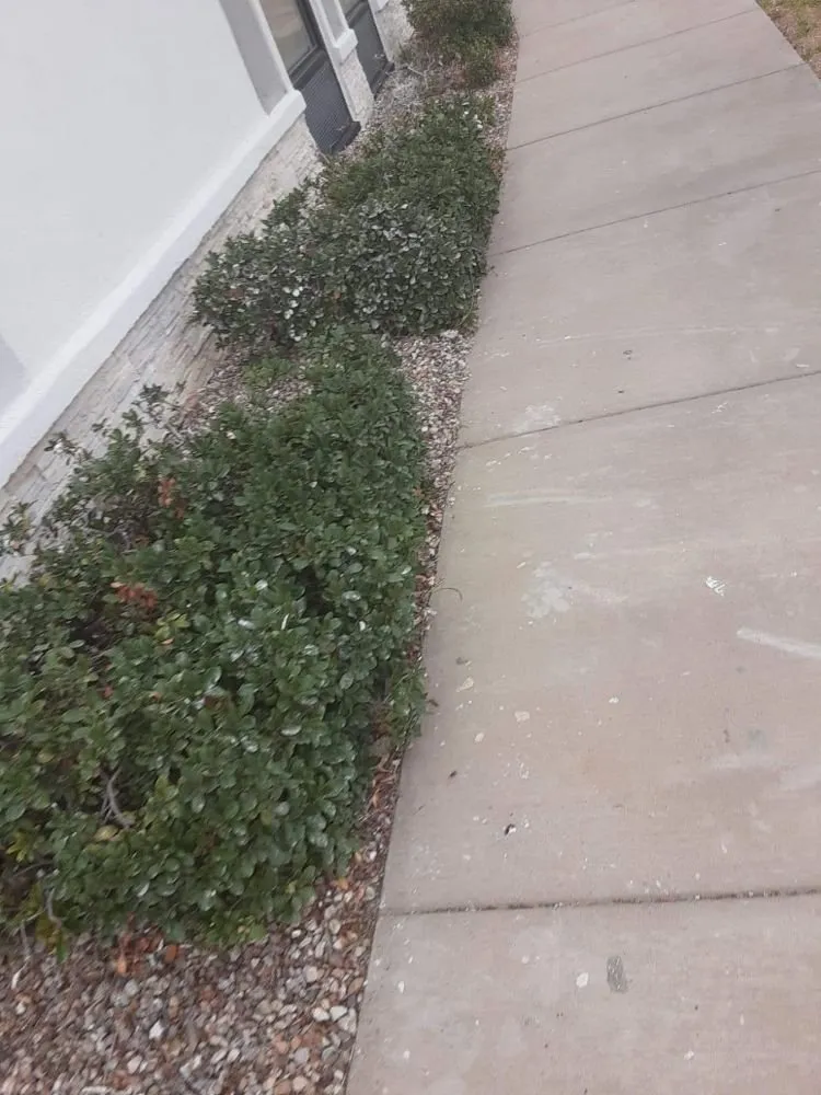 Professional lawn mowing service in Eagle Pass, TX by LNB Landscaping