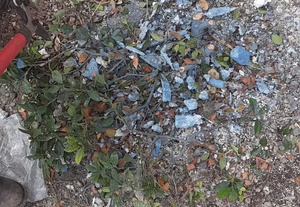 Top-rated landscape design in Eagle Pass, TX by LNB Landscaping