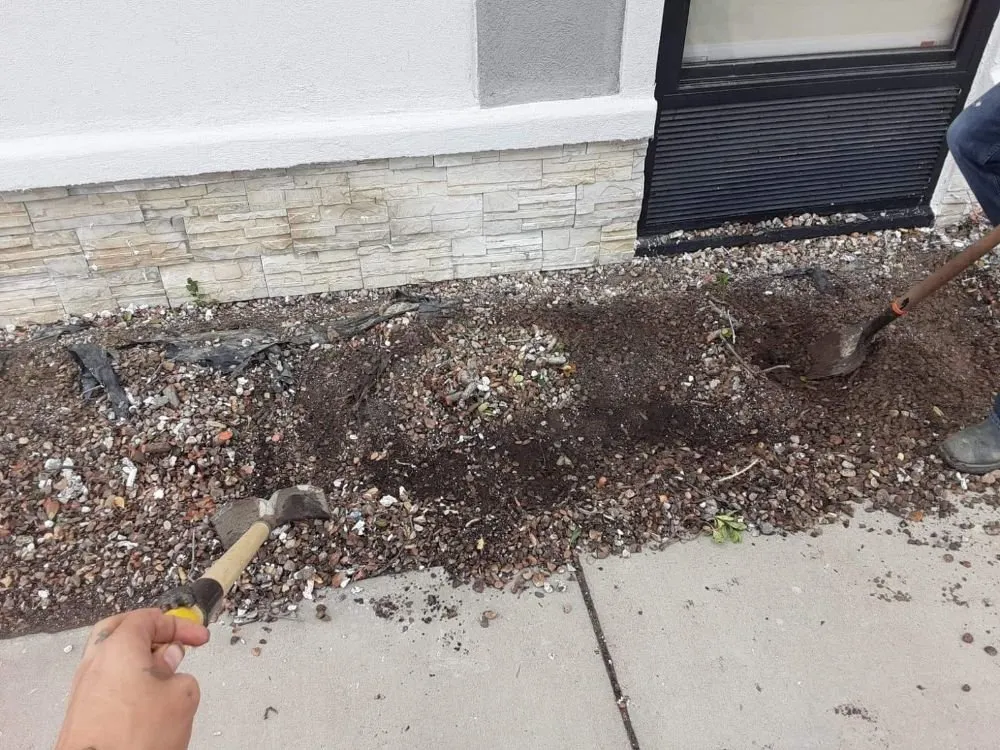 Top-rated residential landscaping experts serving Eagle Pass, TX - LNB Landscaping