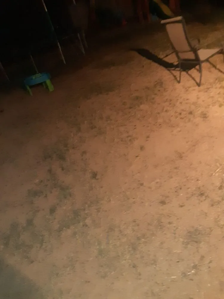 Trusted outdoor landscaping for beautiful yards in Eagle Pass, TX by LNB Landscaping