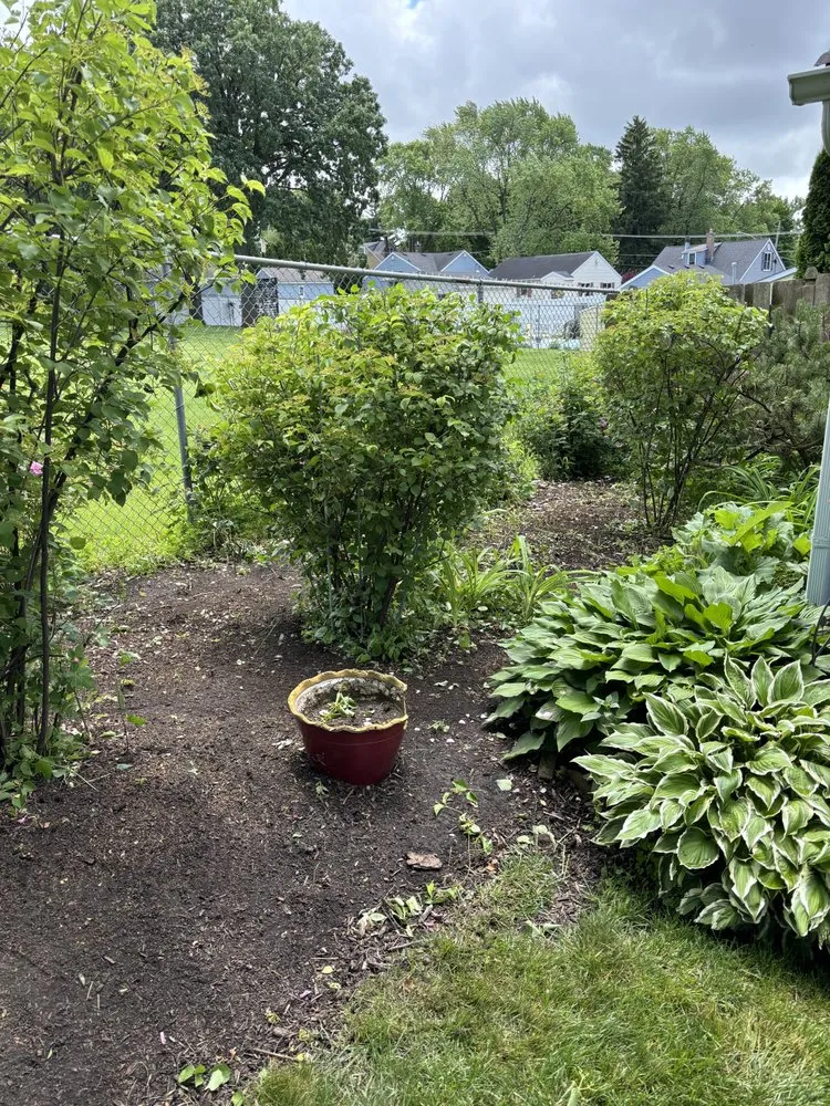 Top-rated landscape installation experts serving Johnsburg, IL - LnB Lawn Care