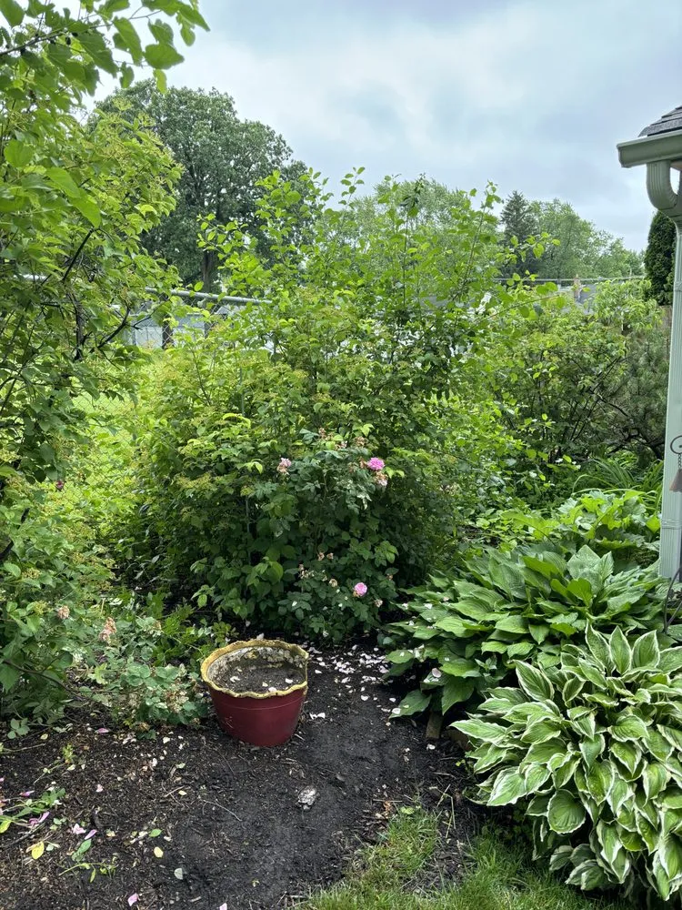 Reliable yard maintenance for beautiful yards across Johnsburg, IL - LnB Lawn Care