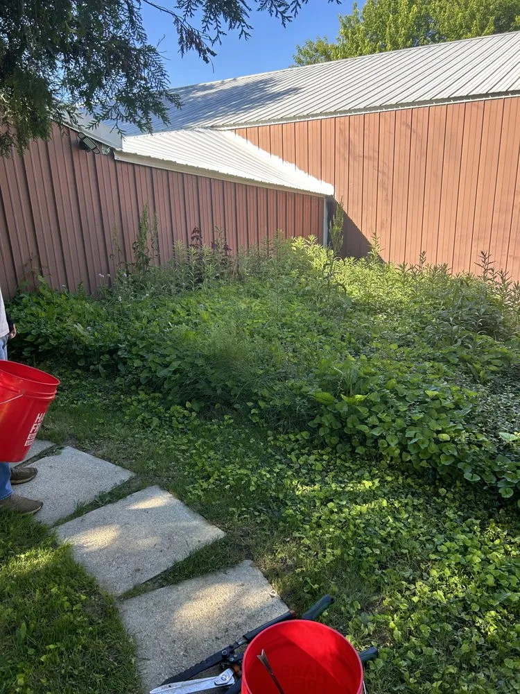 Top-rated lawn care service in Johnsburg, IL by LnB Lawn Care