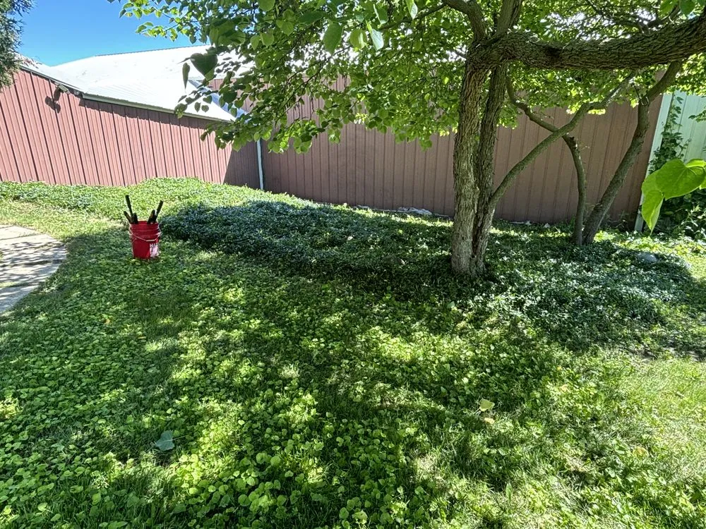 Professional landscaping services for outdoor upgrades across Johnsburg, IL - LnB Lawn Care