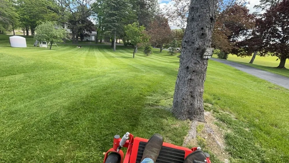 Trusted yard maintenance for year-round maintenance across Johnsburg, IL - LnB Lawn Care