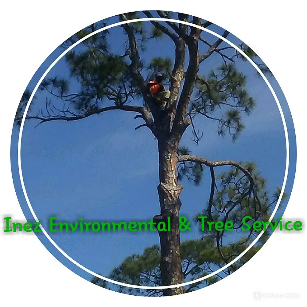 Reliable landscape installation near you in Daytona Beach, FL by Lnez Environmental & Tree Service