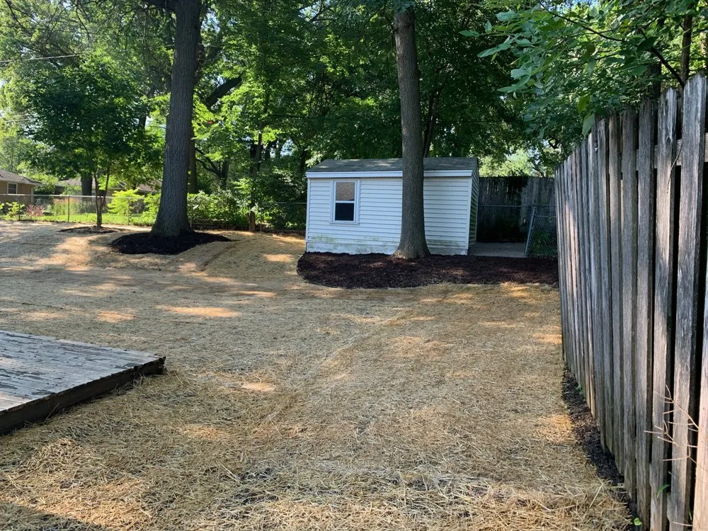 Reliable lawn care service experts serving Oakdale, MN - LNG Landscapes