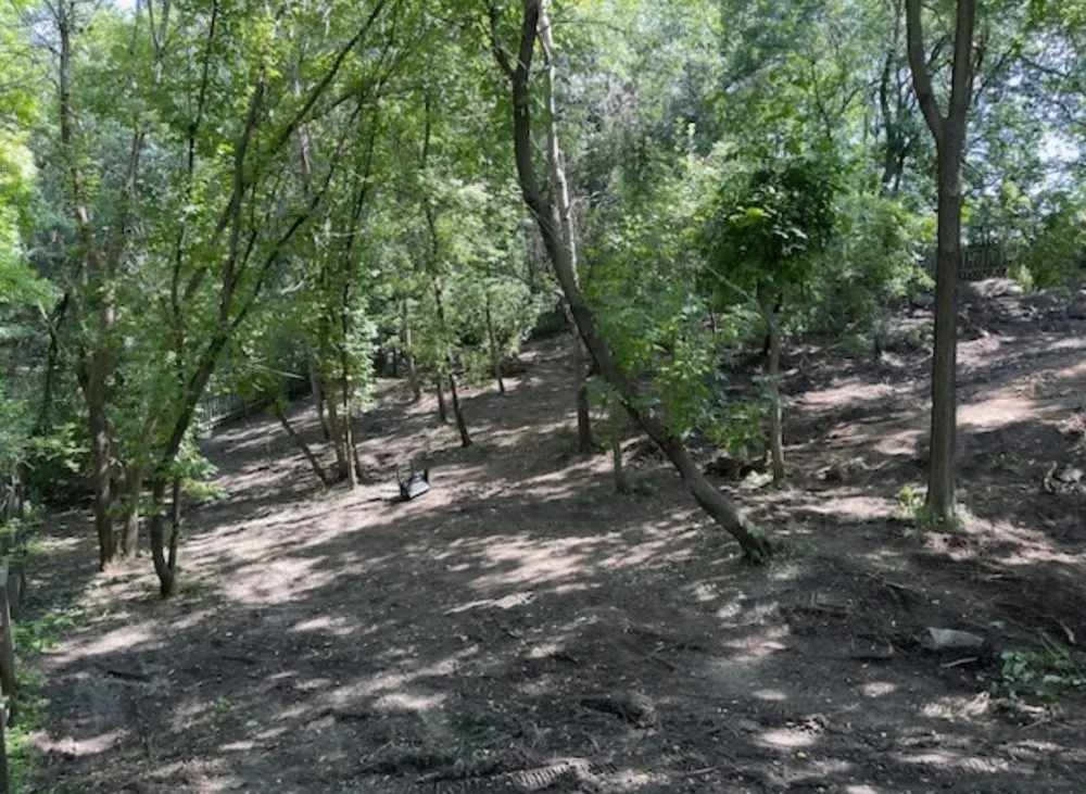 Expert lawn care service experts serving Oakdale, MN - LNG Landscapes