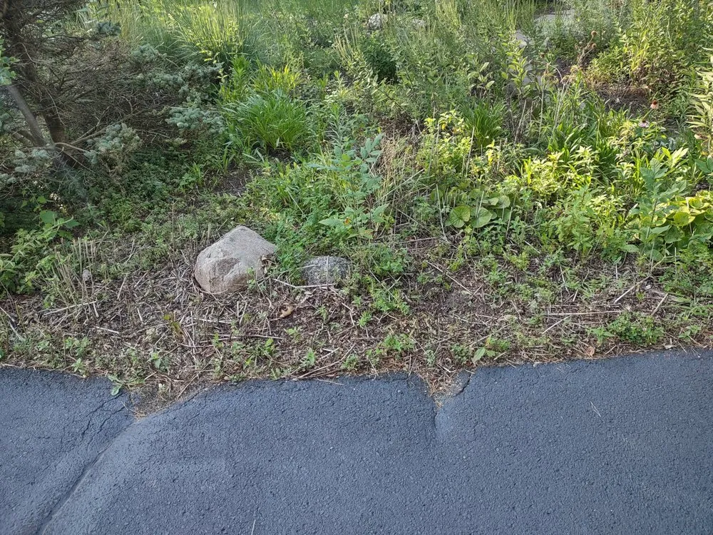 Custom landscape design experts serving Oakdale, MN - LNG Landscapes