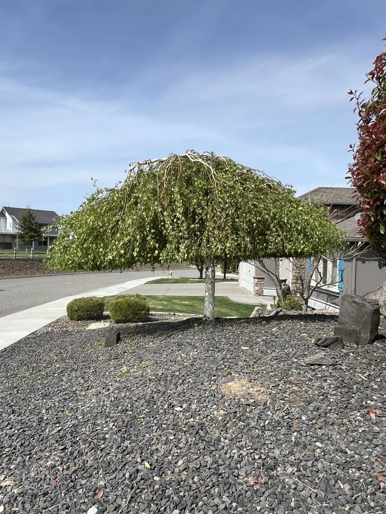 Custom outdoor landscaping experts serving Pasco, WA - LNG Landscaping & Lawn Care