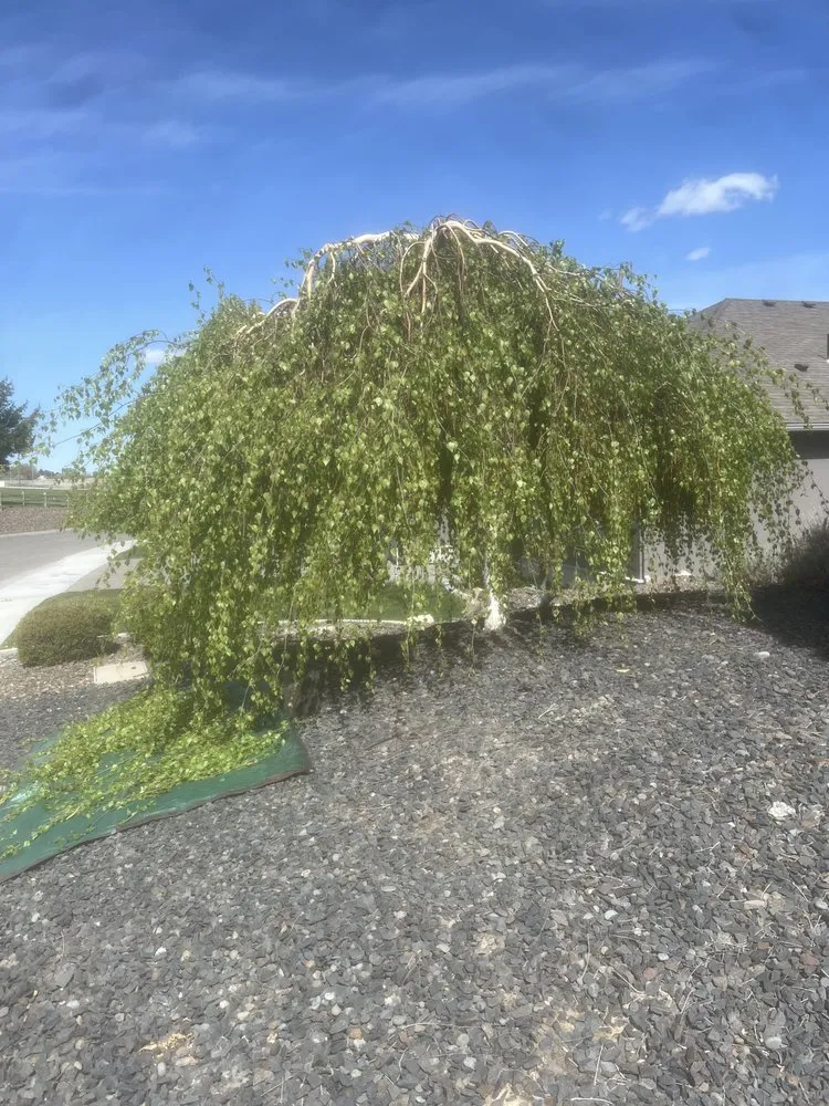 Custom landscaping services experts serving Pasco, WA - LNG Landscaping & Lawn Care