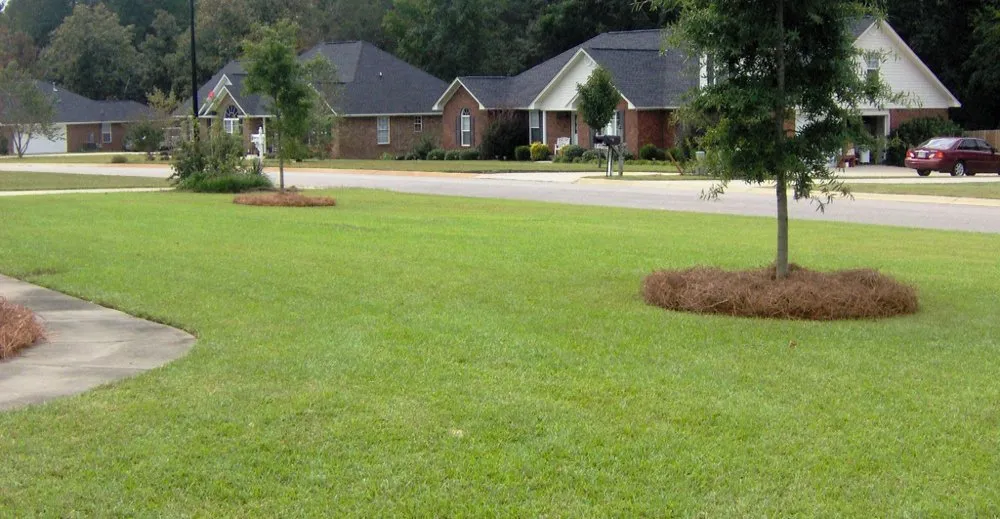 Affordable lawn mowing service in Canby, OR - LNJ Lawn service