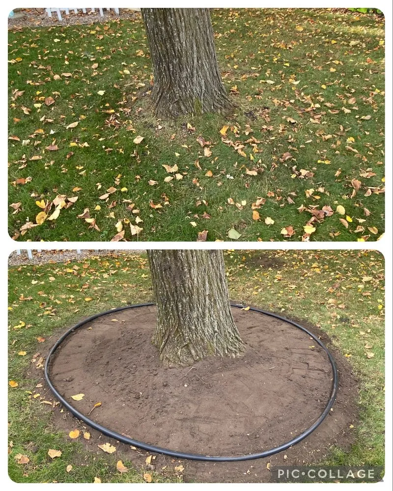 Professional yard cleanup service experts serving Saint Peter, MN - LNL Restorations